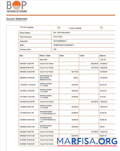 Realistic Pakistan Bank of Punjab account statement word sample